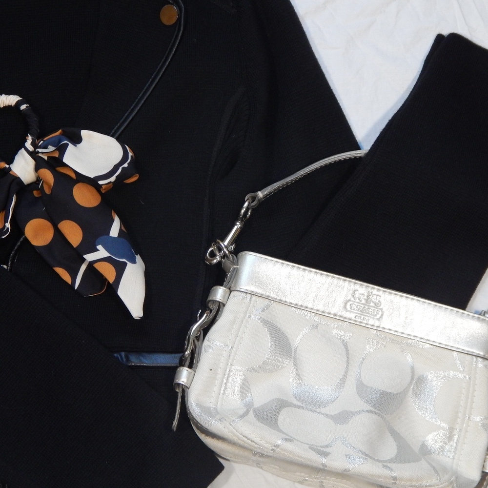 Silver Coach Purse